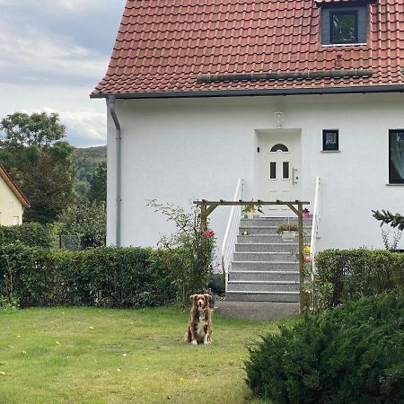 Ferienhaus Am Muehlgraben Thale Eksteriør billede
