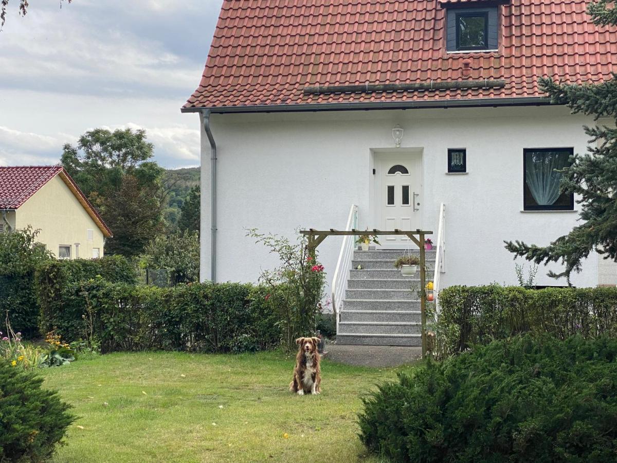 Ferienhaus Am Muehlgraben Thale Eksteriør billede