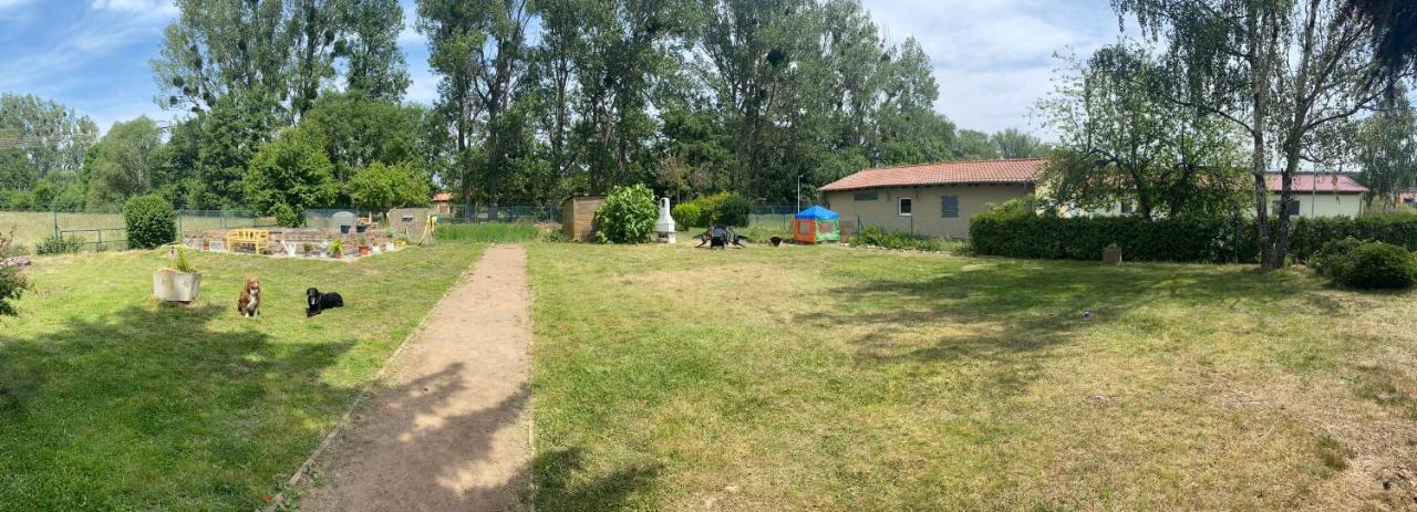 Ferienhaus Am Muehlgraben Thale Eksteriør billede