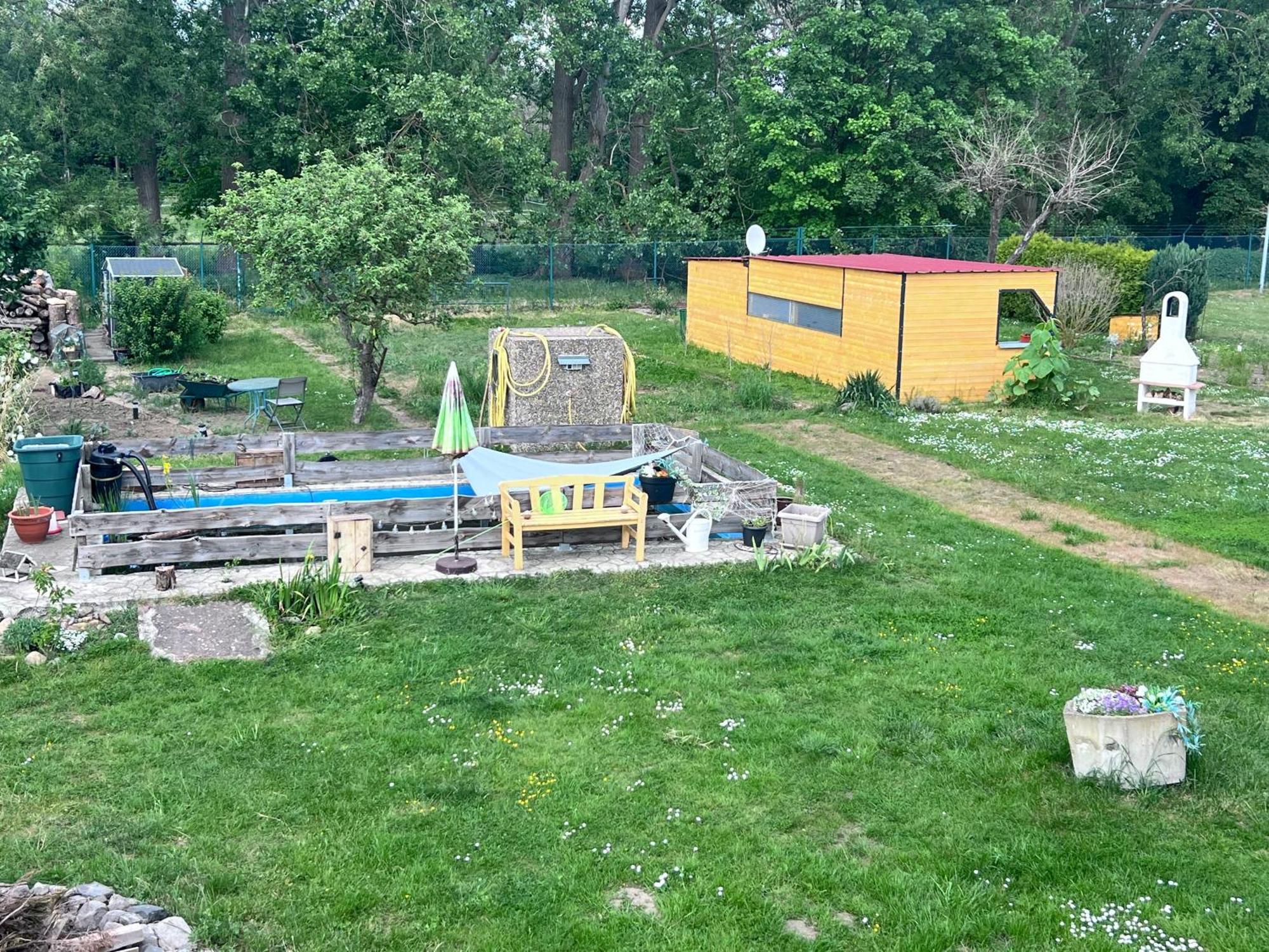 Ferienhaus Am Muehlgraben Thale Eksteriør billede